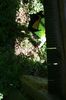 gal/Ville_Propre/_thb_OPERATION DECHETS LAMBRES 058.JPG